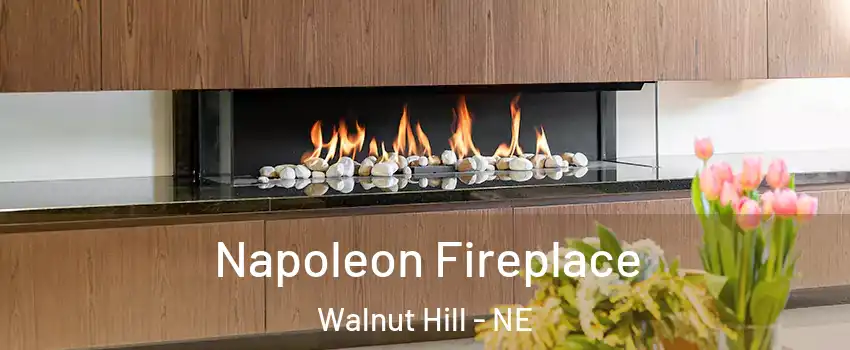 Napoleon Fireplace Walnut Hill - NE
