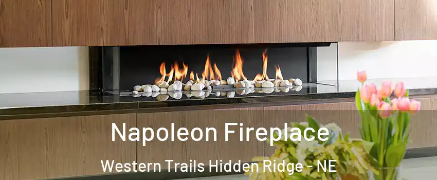 Napoleon Fireplace Western Trails Hidden Ridge - NE