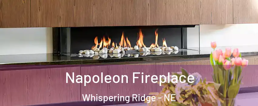 Napoleon Fireplace Whispering Ridge - NE