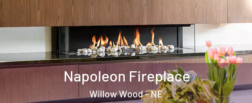 Napoleon Fireplace Willow Wood - NE