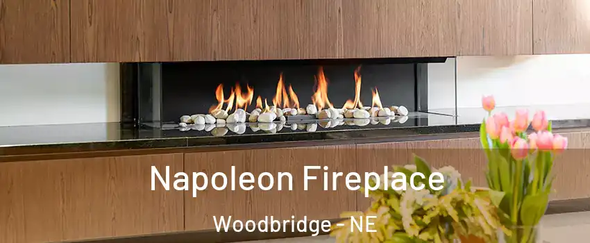 Napoleon Fireplace Woodbridge - NE
