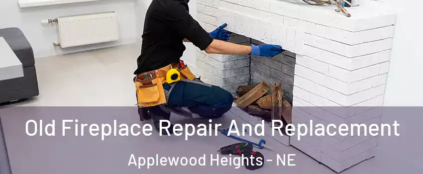 Old Fireplace Repair And Replacement Applewood Heights - NE