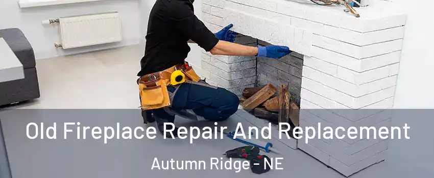 Old Fireplace Repair And Replacement Autumn Ridge - NE