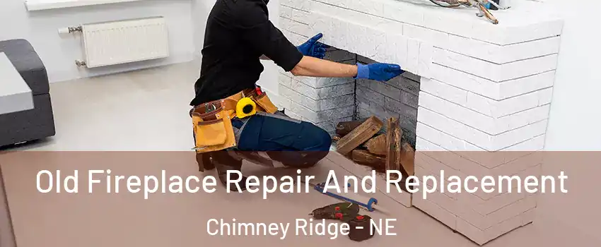 Old Fireplace Repair And Replacement Chimney Ridge - NE