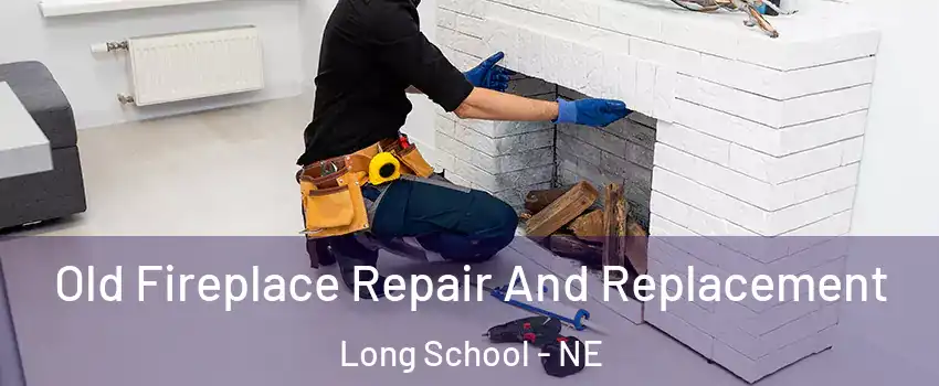 Old Fireplace Repair And Replacement Long School - NE