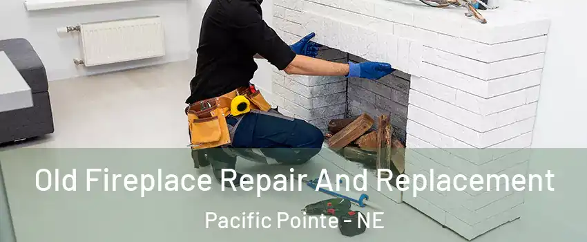 Old Fireplace Repair And Replacement Pacific Pointe - NE
