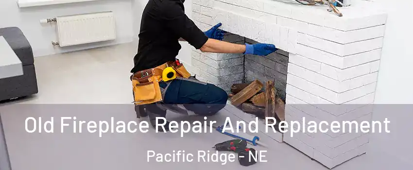 Old Fireplace Repair And Replacement Pacific Ridge - NE