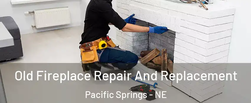 Old Fireplace Repair And Replacement Pacific Springs - NE