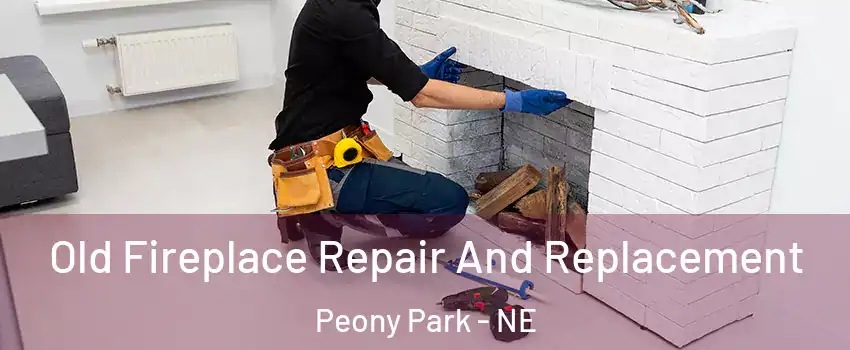 Old Fireplace Repair And Replacement Peony Park - NE