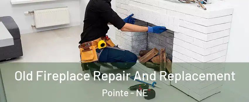 Old Fireplace Repair And Replacement Pointe - NE