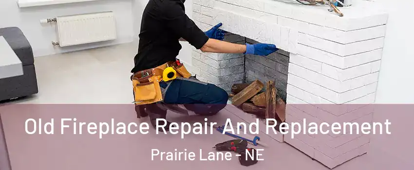 Old Fireplace Repair And Replacement Prairie Lane - NE