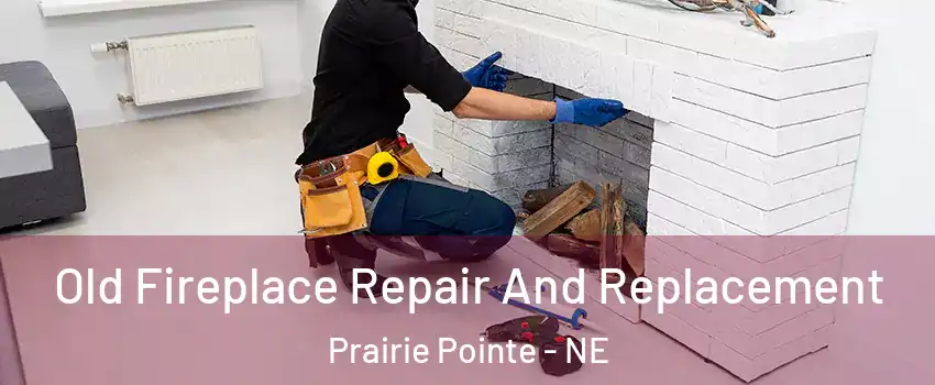 Old Fireplace Repair And Replacement Prairie Pointe - NE