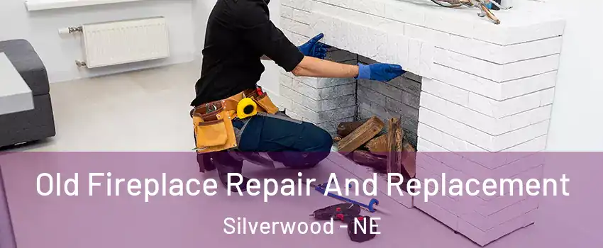 Old Fireplace Repair And Replacement Silverwood - NE