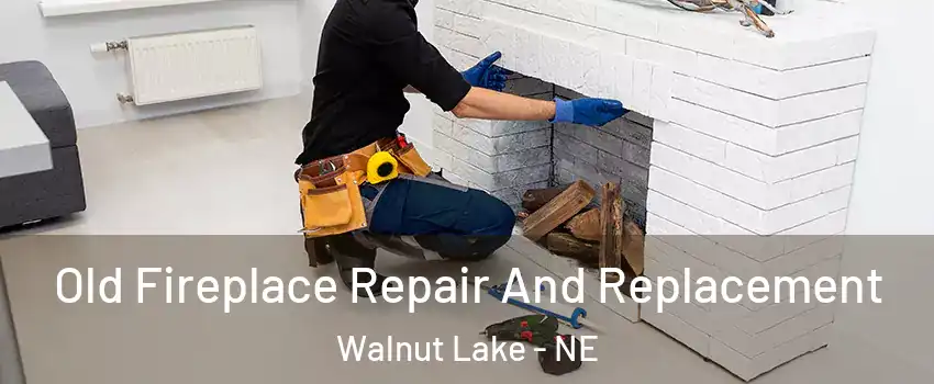 Old Fireplace Repair And Replacement Walnut Lake - NE