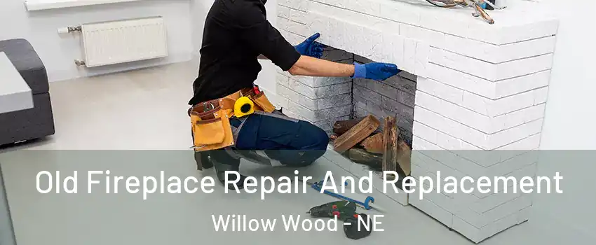 Old Fireplace Repair And Replacement Willow Wood - NE