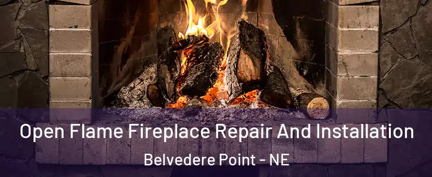 Open Flame Fireplace Repair And Installation Belvedere Point - NE