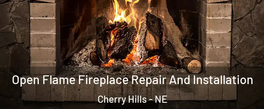 Open Flame Fireplace Repair And Installation Cherry Hills - NE