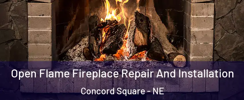 Open Flame Fireplace Repair And Installation Concord Square - NE