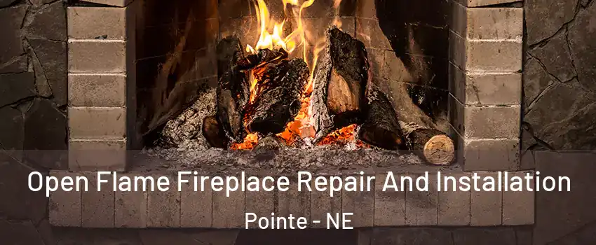 Open Flame Fireplace Repair And Installation Pointe - NE