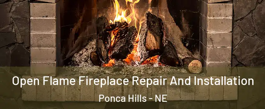 Open Flame Fireplace Repair And Installation Ponca Hills - NE