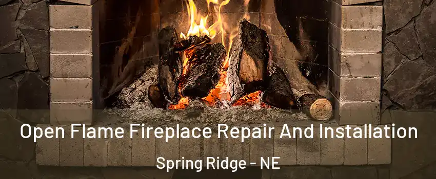 Open Flame Fireplace Repair And Installation Spring Ridge - NE