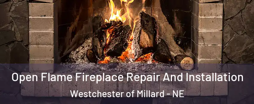 Open Flame Fireplace Repair And Installation Westchester of Millard - NE