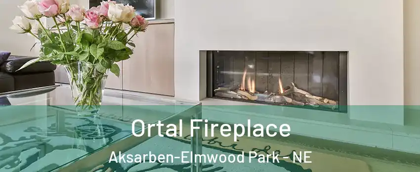 Ortal Fireplace Aksarben-Elmwood Park - NE