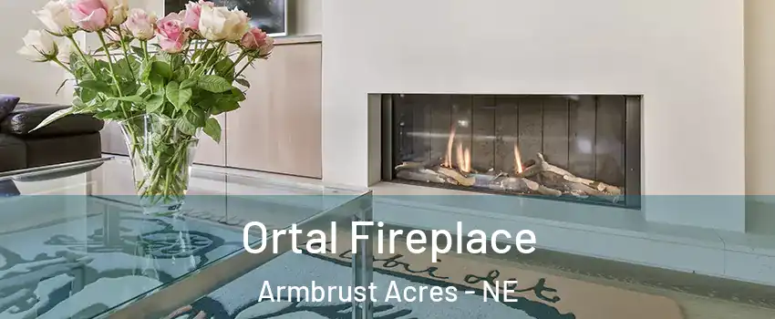 Ortal Fireplace Armbrust Acres - NE