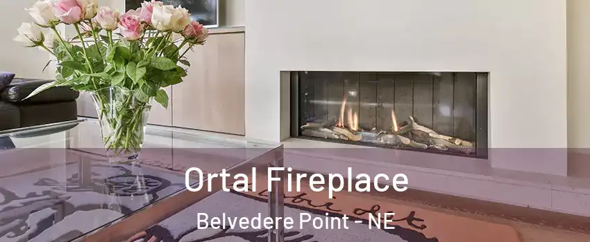 Ortal Fireplace Belvedere Point - NE