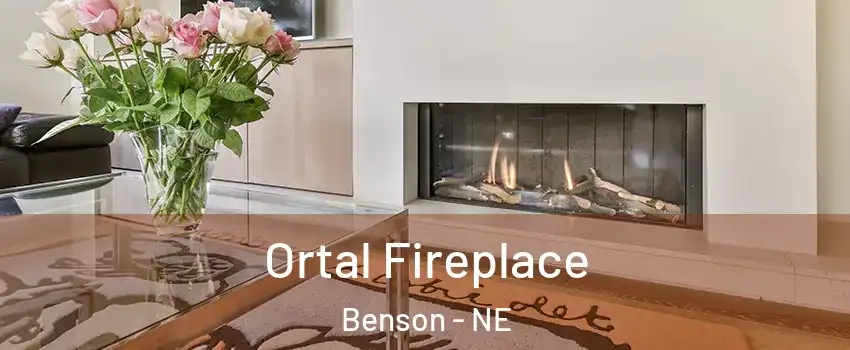 Ortal Fireplace Benson - NE