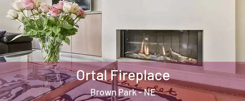 Ortal Fireplace Brown Park - NE