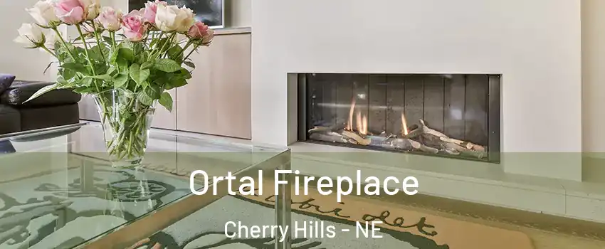 Ortal Fireplace Cherry Hills - NE