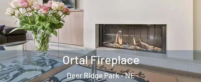 Ortal Fireplace Deer Ridge Park - NE