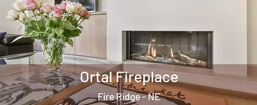 Ortal Fireplace Fire Ridge - NE