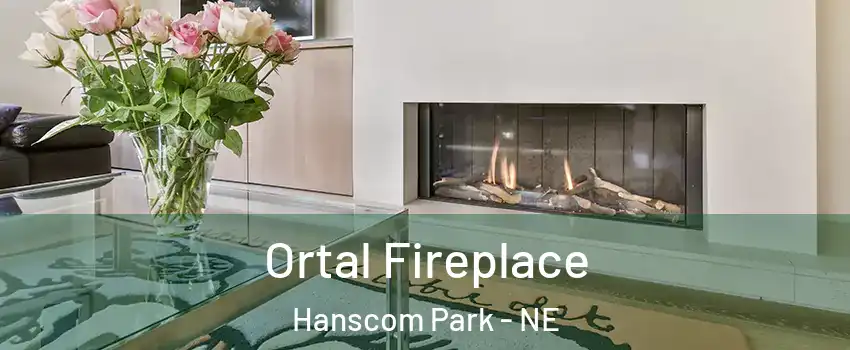 Ortal Fireplace Hanscom Park - NE