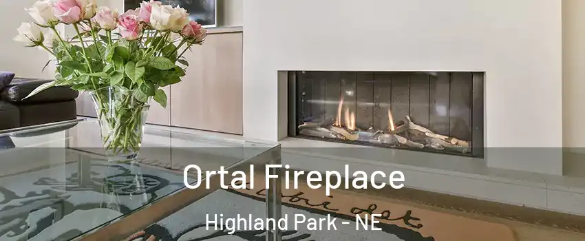 Ortal Fireplace Highland Park - NE