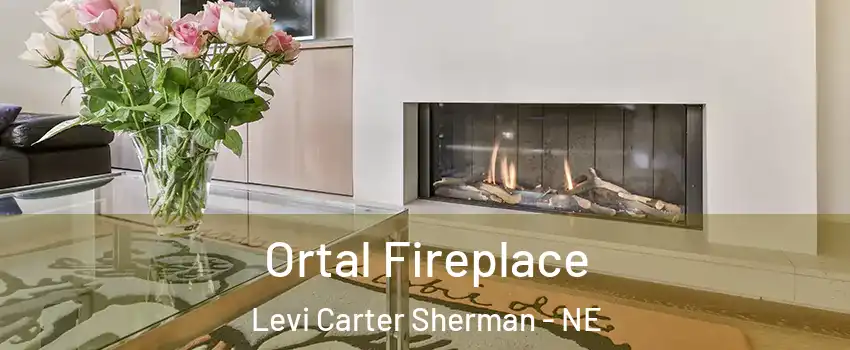 Ortal Fireplace Levi Carter Sherman - NE