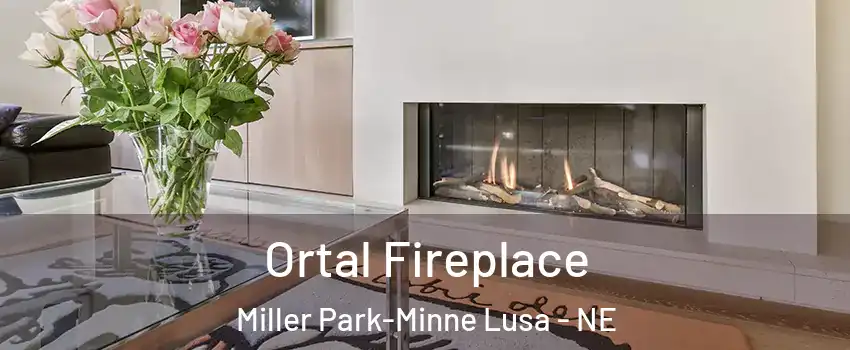 Ortal Fireplace Miller Park-Minne Lusa - NE