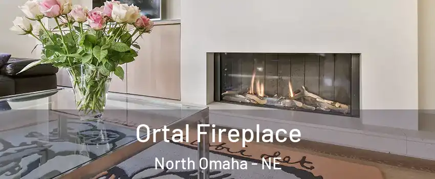 Ortal Fireplace North Omaha - NE