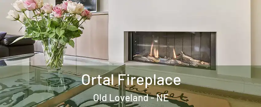 Ortal Fireplace Old Loveland - NE
