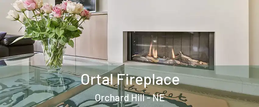 Ortal Fireplace Orchard Hill - NE