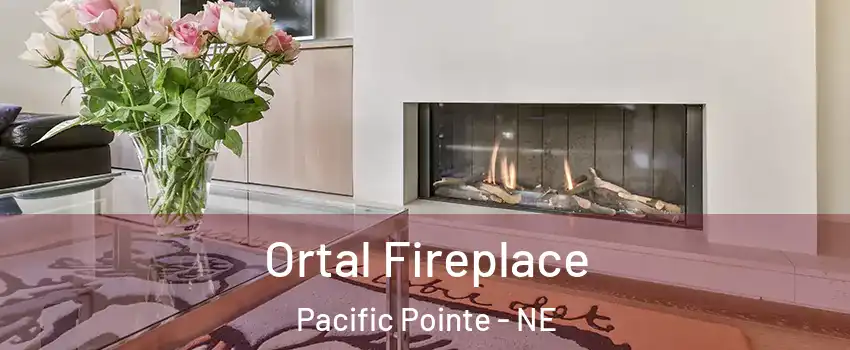 Ortal Fireplace Pacific Pointe - NE