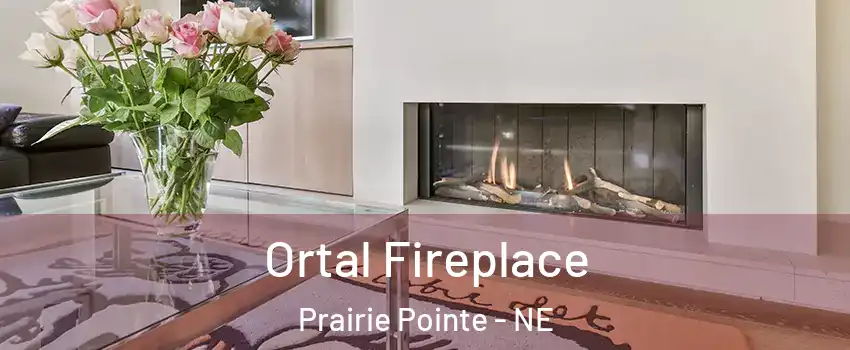 Ortal Fireplace Prairie Pointe - NE