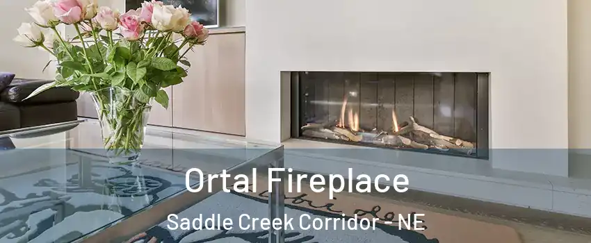 Ortal Fireplace Saddle Creek Corridor - NE