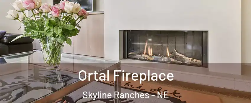 Ortal Fireplace Skyline Ranches - NE