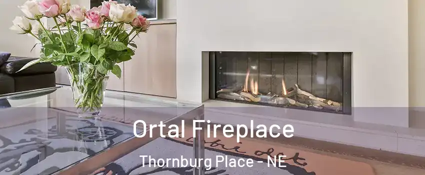 Ortal Fireplace Thornburg Place - NE