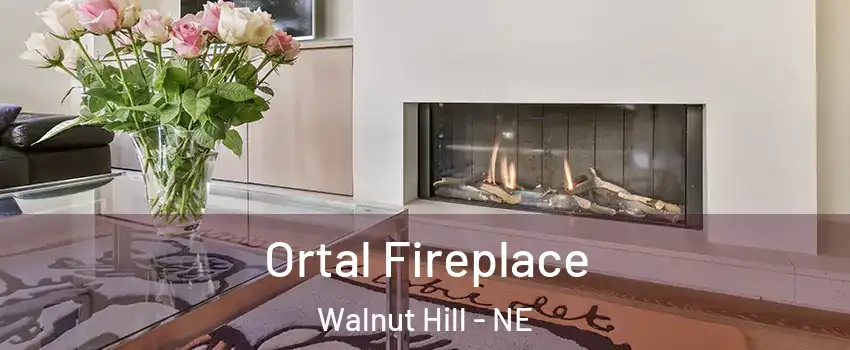 Ortal Fireplace Walnut Hill - NE