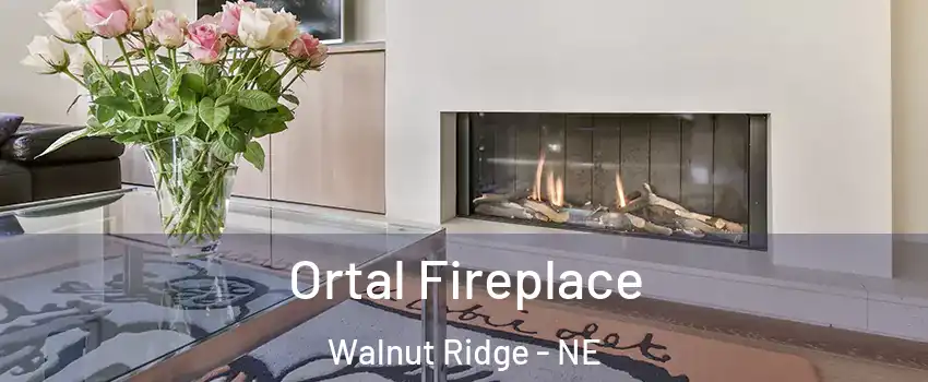 Ortal Fireplace Walnut Ridge - NE