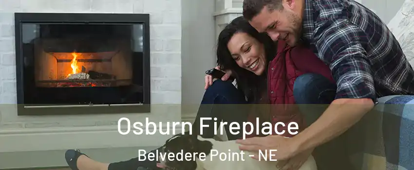 Osburn Fireplace Belvedere Point - NE