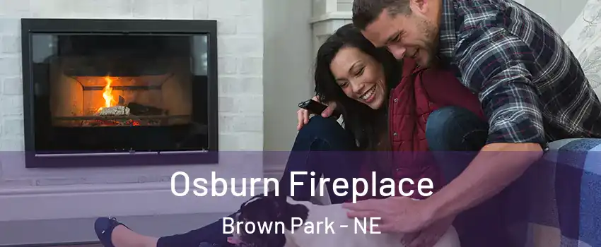 Osburn Fireplace Brown Park - NE